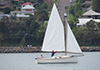 Cygnet 20 Hopewell Sailing on Lake Macquarie
