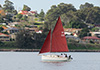 Cygnet 20 Sailing on Lake Macquarie